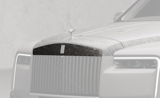 Mansory Front grill panel RCS 210 131
